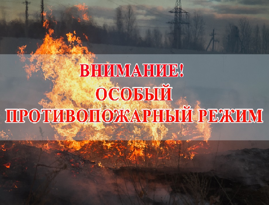 Об установлении особого противопожарного режима в лесах и об ограничении пребывания граждан в лесах и въезда в них транспортных средств на территории Кировской области.